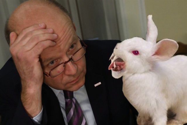 [Obrazek: 2ab01dcb39b97cdb10b7baf6976ae30b,640,0,0,0.jpg]